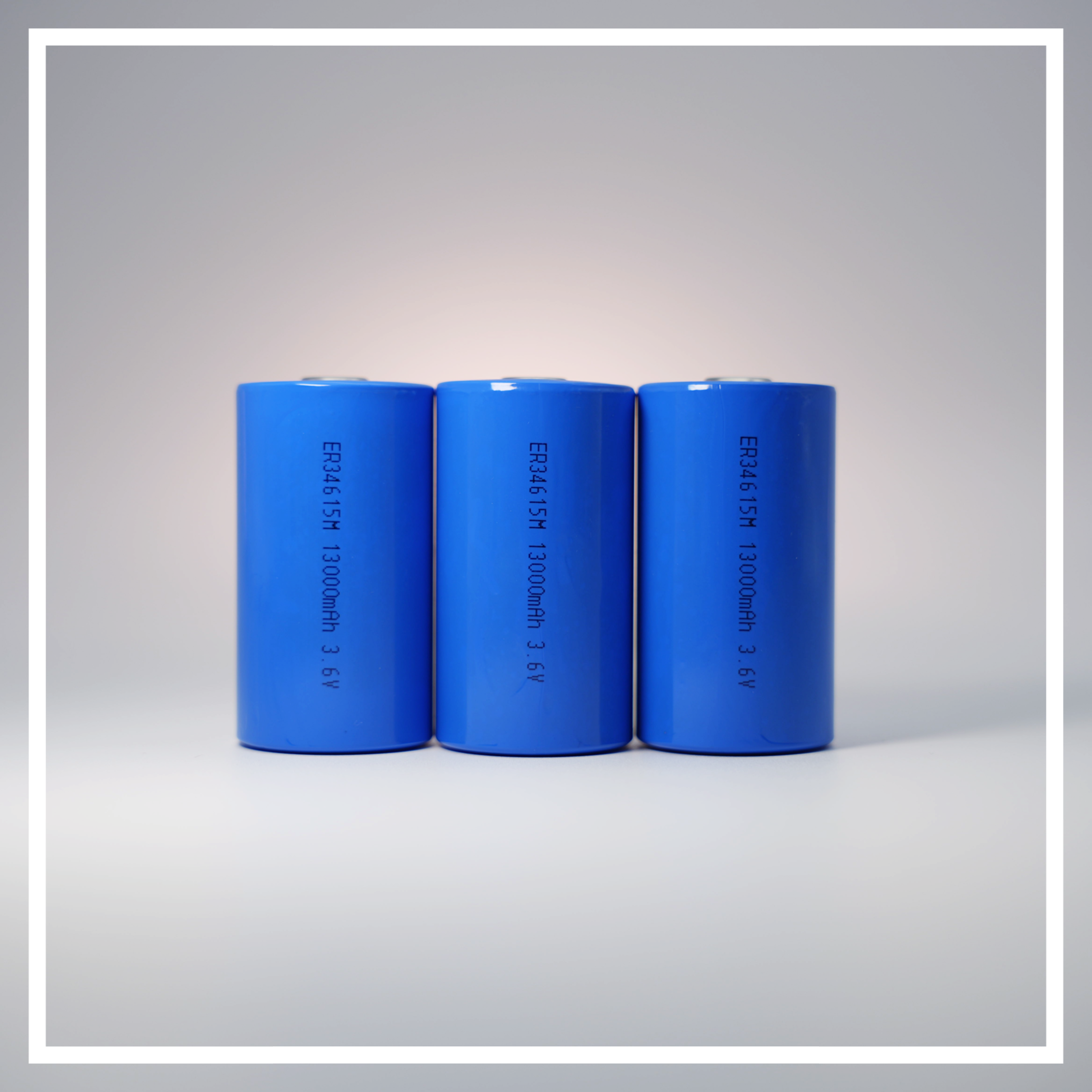 ER34615H19000mAh